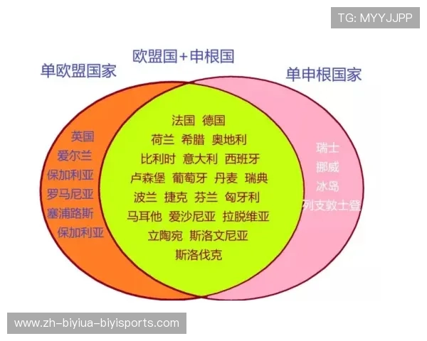 意甲联盟主席与各俱乐部之间的互动关系分析